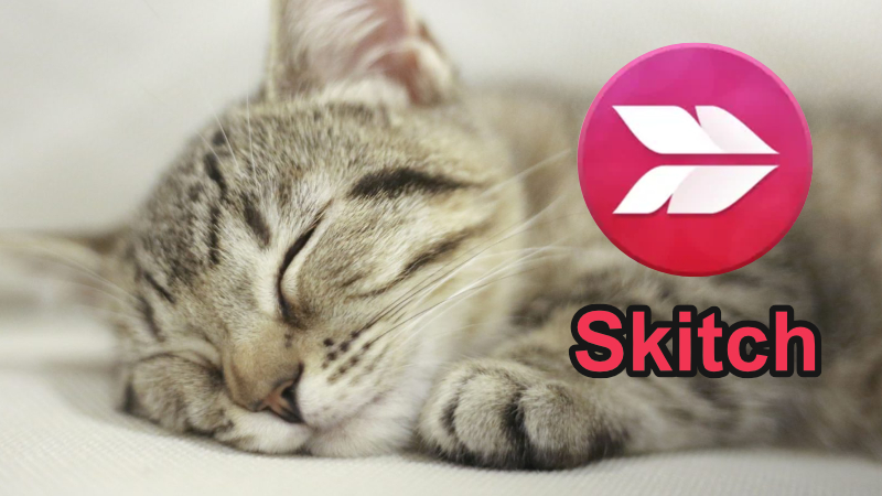 Skitchでキャプチャができない問題(macOS Sonoma)