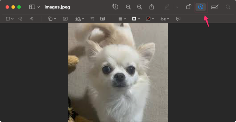Macのプレビューでマークアップツールバーを最初から表示する