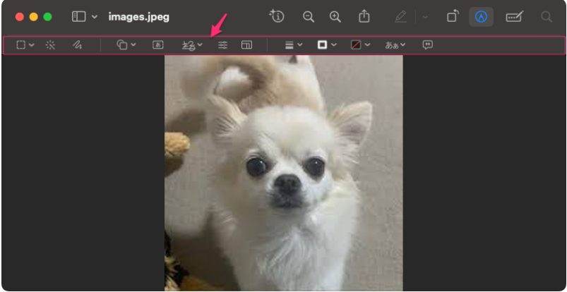Macのプレビューでマークアップツールバーを最初から表示する