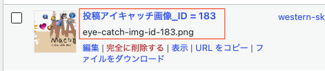 画像のアップロード時、メディアライブラリでどのように表示されるのか(fanction.phpに入れた場合)