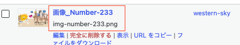 画像のアップロード時、メディアライブラリでどのように表示されるのか(fanction.phpに入れた場合)
