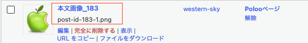 画像のアップロード時、メディアライブラリでどのように表示されるのか(fanction.phpに入れた場合)