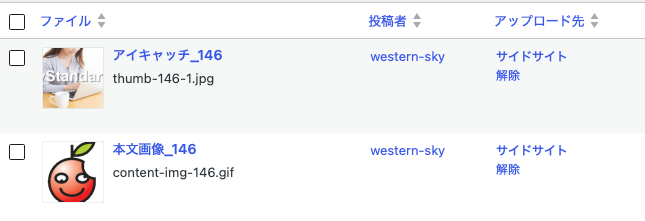 画像のアップロード時、メディアライブラリでどのように表示されるのか(fanction.phpに入れた場合)